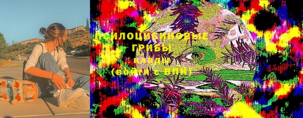 молекула духа Волосово