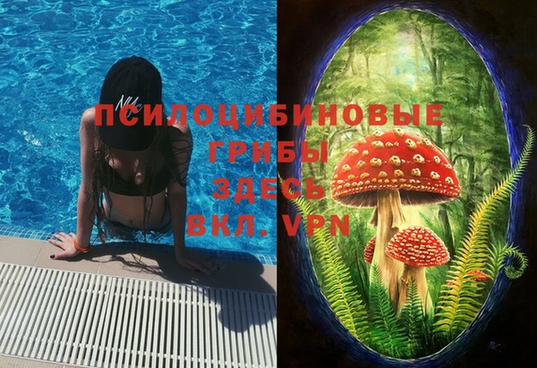 молекула духа Волосово