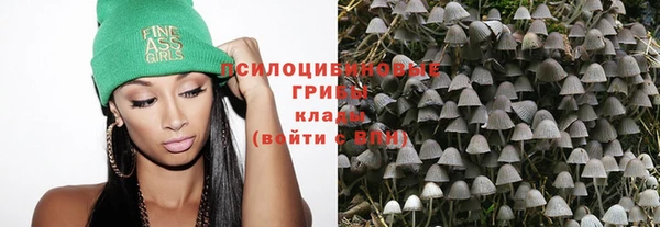 молекула духа Волосово